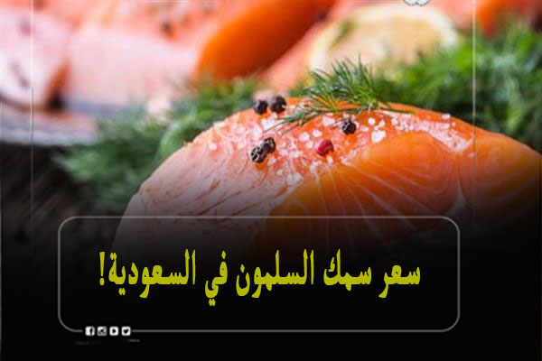 سعر سمك السلمون في السعودية